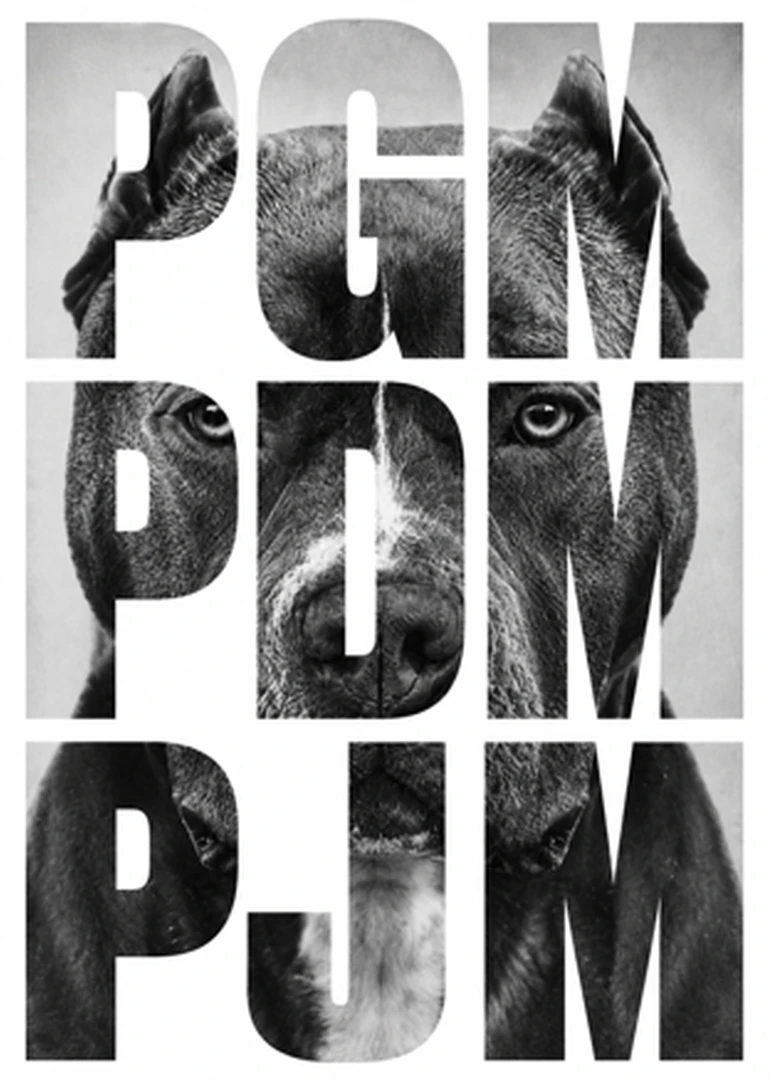 PgM / PdM / PjM
