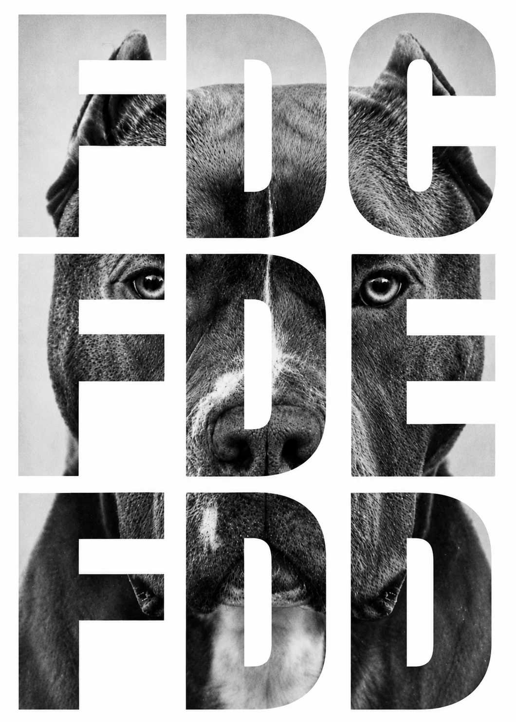 FDC / FDE / FDD