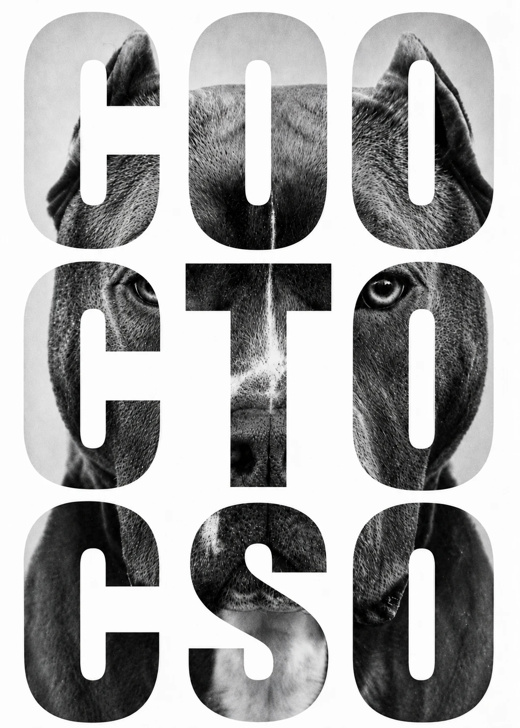 COO / CTO / CSO